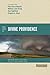Four Views on Divine Providence (Counterpoints: Bible and Theology)