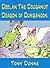 Doolan the Doughnut Dragon of Dunganoon: A fully illustrated picture book for kids 9 to 12