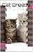 Cat Breeds: Pictures and descriptions of different cat breeds.