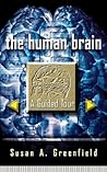 The Human Brain: ...