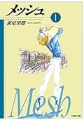 メッシュ 1