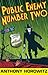 Public Enemy Number Two (Diamond Brothers, #2)