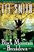 Black Mountain Breakdown by Lee Smith