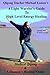 A Light Warrior's Guide to High Level Energy Healing by Michael Lomax