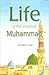 Life of the Prophet Muhammad by B. Salem Foad