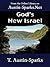 God's New Israel