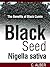 Black Cumin / Black Seed / Nigella Sativa - Cure to All Diseases Revealed