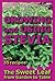 Growing and Using Stevia: The Sweet Leaf from Garden to Table with 35 Recipes