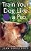 Train Your Dog Like a Pro