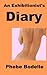 An Exhibitionist´s Diary