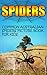Spiders: Common Australian Spiders Picture Book for Kids