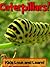 Caterpillars! Learn About Caterpillars and Enjoy Colorful Pictures - Look and Learn! (50+ Photos of Caterpillars)