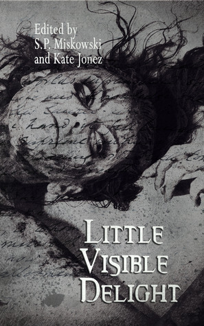 Little Visible Delight (Paperback)