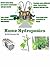 Home Hydroponics