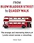 From Blow Bladder Street to Quaggy Walk - The strange and int... by Simon Taylor