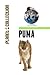 Puma: Picture Book (Educational Children's Books Collection) - Level 2 (Planet Collection 123)