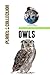 Owls: Picture Book (Educati...