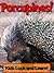Porcupines! Learn About Porcupines and Enjoy Colorful Pictures - Look and Learn! (50+ Photos of Porcupines)
