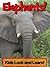 Elephants! Learn About Elephants and Enjoy Colorful Pictures ... by Becky Wolff