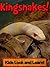 Kingsnakes! Learn About Kingsnakes and Enjoy Colorful Pictures - Look and Learn! (50+ Photos of Kingsnakes)