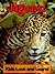 Jaguars! Learn About Jaguars and Enjoy Colorful Pictures - Look and Learn! (50+ Photos of Jaguars)