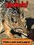 Jackals! Learn About Jackals and Enjoy Colorful Pictures - Look and Learn! (50+ Photos of Jackals)
