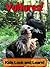 Vultures! Learn About Vultures and Enjoy Colorful Pictures - Look and Learn! (50+ Photos of Vultures)