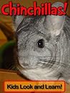 Chinchillas! Lear...