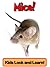 Mice! Learn About Mice and Enjoy Colorful Pictures - Look and Learn! (50+ Photos of Mice)