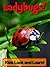 Ladybugs! Learn About Ladybugs and Enjoy Colorful Pictures - Look and Learn! (50+ Photos of Ladybugs)