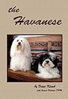 Havanese