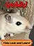 Gerbils! Learn About Gerbils and Enjoy Colorful Pictures - Look and Learn! (50+ Photos of Gerbils)