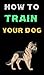 How to train your dog