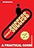 Introducing Psychology of Success: A Practical Guide (Introducing...)