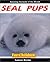 Seal Pups for Children - Amazing Animals of the World