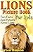 Lions Picture Book For Kids - Fun Facts And Pictures About Lions