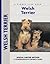 Welsh Terrier by Bardi McLennan