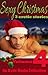 Sexy Christmas Stories - Volume Four