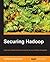 Securing Hadoop