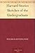 Harvard Stories Sketches of the Undergraduate