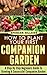 How To Plant Your First Companion Garden