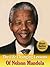 The Life Changing Lessons of Nelson Mandela by Steven Nash
