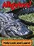 Alligators! Learn About Alligators and Enjoy Colorful Pictures - Look and Learn! (50+ Photos of Alligators)