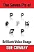 The Seven P's of Brilliant ...