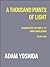 A Thousand Points of Light (A Narrative History of the Third World War Book 3)