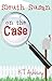 Sleuth Susan on the Case (Sleuth Susan Detective)