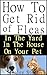 Get Rid of Fleas: How To Ge...