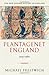 Plantagenet England 1225-1360 (New Oxford History of England)