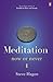 Meditation Now or Never