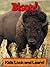 Bison! Learn About Bison and Enjoy Colorful Pictures - Look and Learn! (50+ Photos of Bison)
